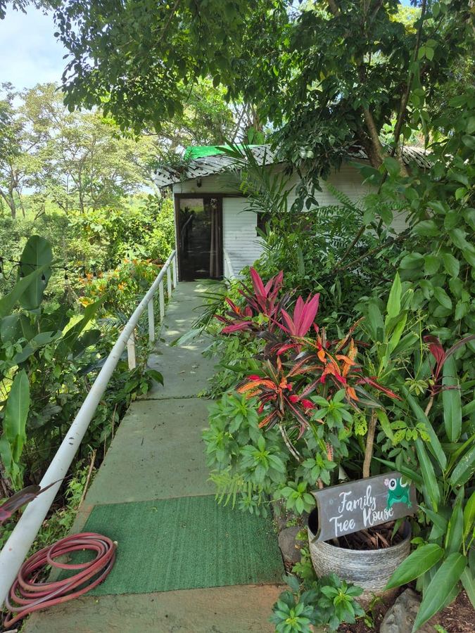 Entrada de madera hacia la Family Tree House, la Casa Vista al Bosque, rodeada de vegetación tropical