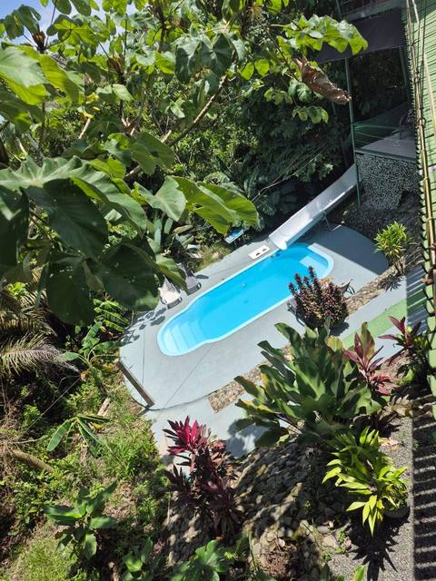 Piscina rodeada de vegetación densa de la selva, vista desde la terraza superior