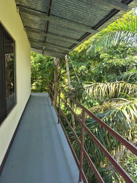 Pasillo del balcón junto a la fachada amarilla, con vistazo al puente de canopy