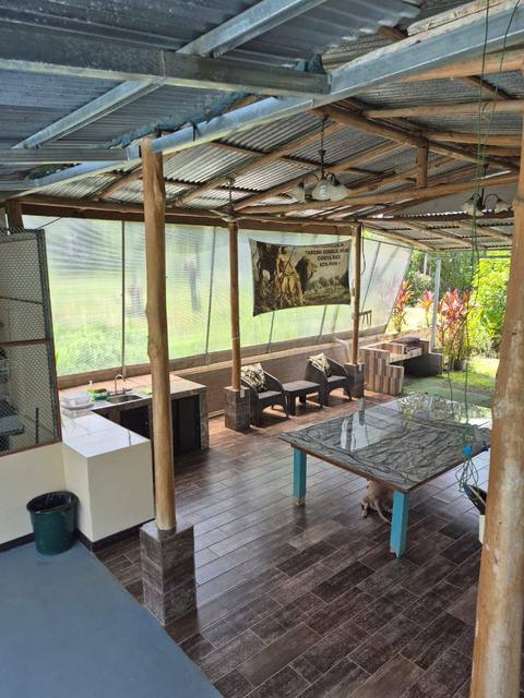 Rancho techado con mesa y sillas para comer en familia, bajo la manta de Tarzan Jungle Home