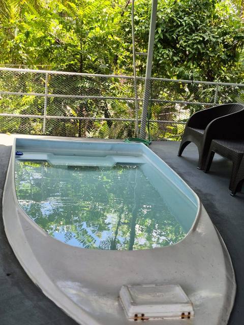 Piscina privada en forma de bote de la Family Tree House, rodeada de vegetación