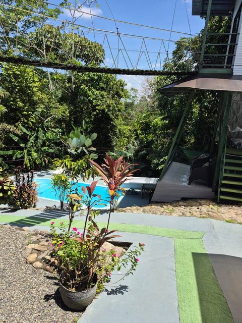 Vista desde el puente de canopy hacia la piscina y el tobogán entre los árboles